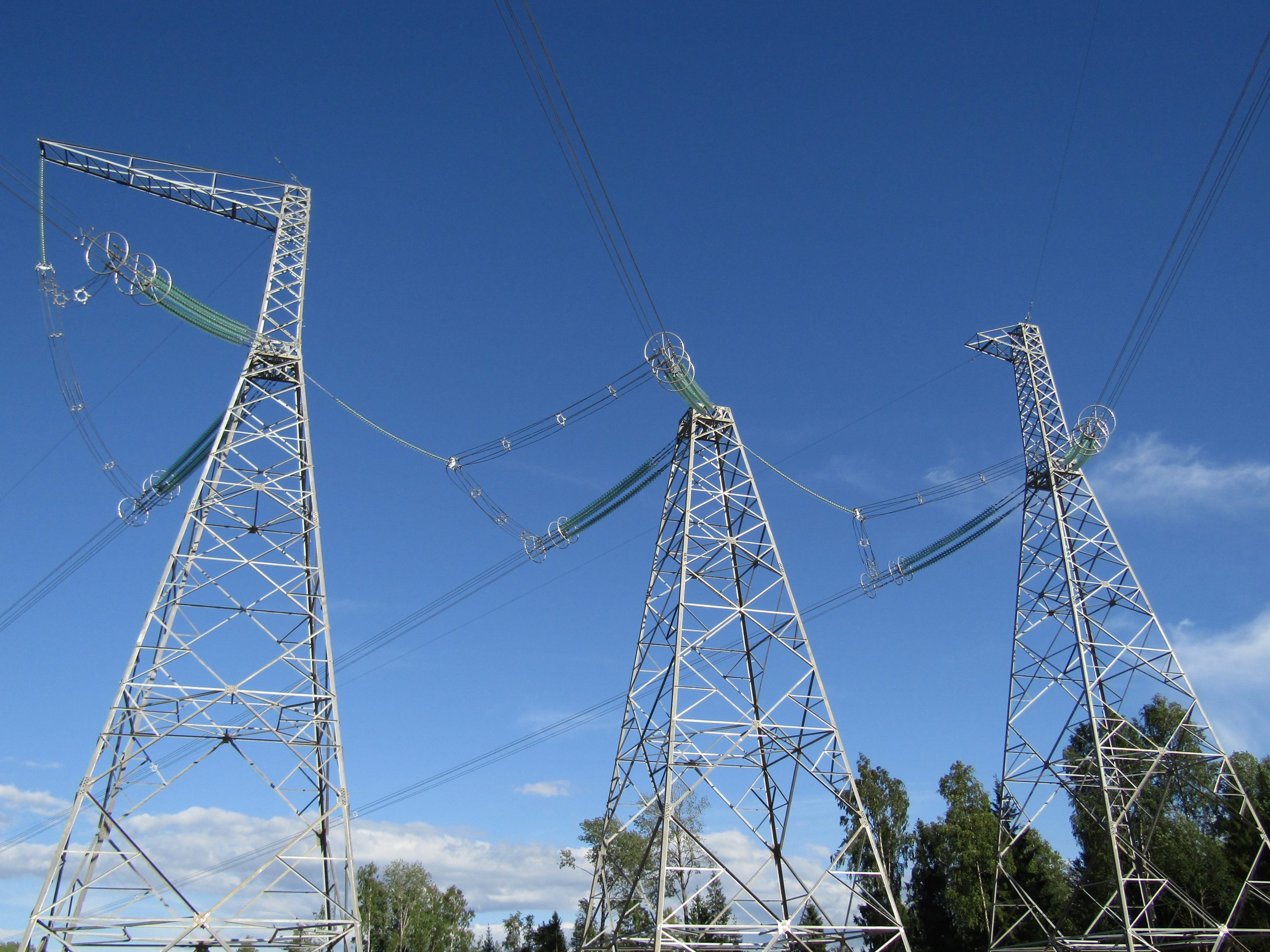 WL 750 kV „Leningradskaja - Belozerskaja” (odcinek na terenie Obwodów leningradzkiego i wołogodzkiego) (L=245,5 km) dla potrzeb filii S.P.”FSK EJeS” — MJeS Centrum